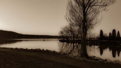 cousens2-shoreline