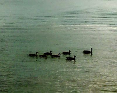etzel_summerwaves_2