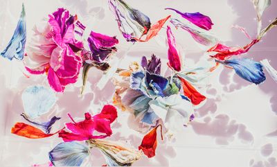 zheng_colorsofspring_2