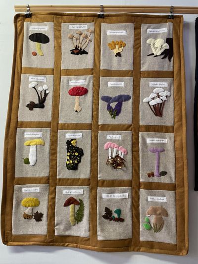 snyder-mushrooms