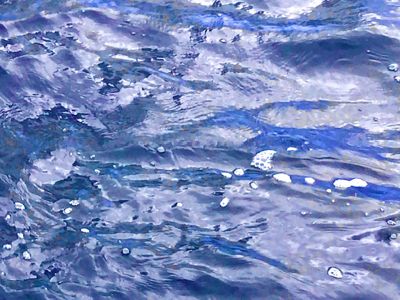 etzel_summerwaves_5