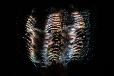 goodwin_faces_2