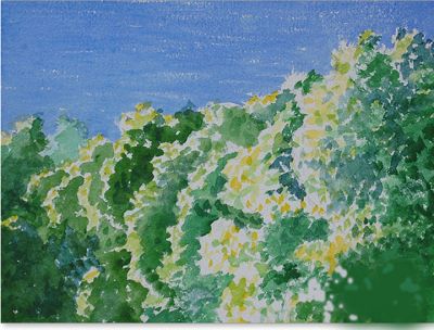 zigmund_colorsofspring_4