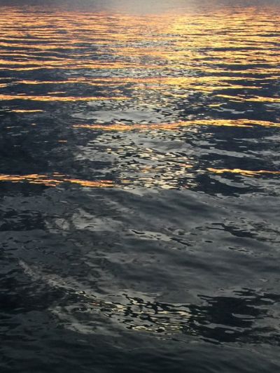 paularomanowetzel_reflectionsonthehudson_2