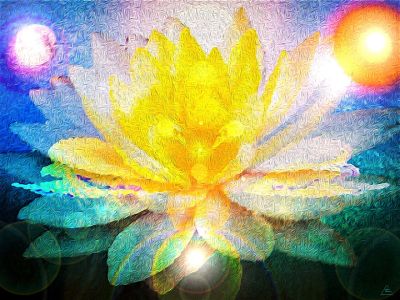 spector_twoswans-lotus-enh-1-22