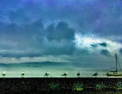 paularomanowetzel_reflectionsonthehudson_6
