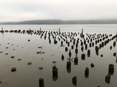 chalfant_reflections_on_hudson_yonkers