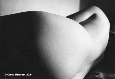 _i_like_to_think_that_in_the_petals_curve_