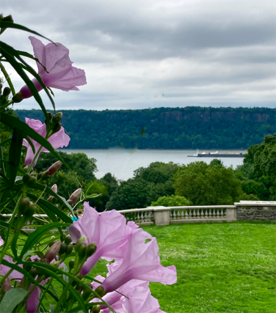 marum-view_from_wave_hill
