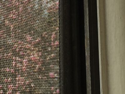 romanowetzel_colorsofspring_3