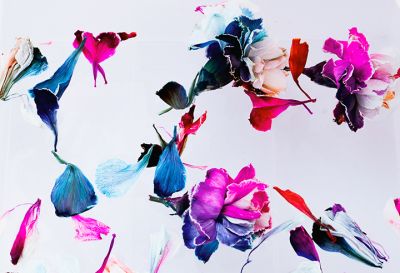 zheng_colorsofspring_1_0