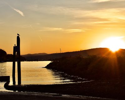 ilene_schwartz-montesinos-_reflections_on_the_hudsonjpeg