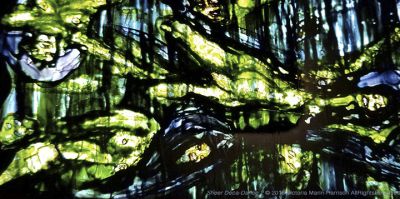 marin_ritesofspringsheerdecadance_14x30