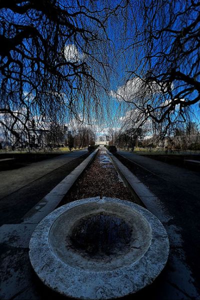 fratus_garden_study_01_small