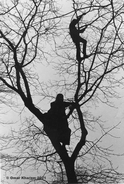tree_people_
