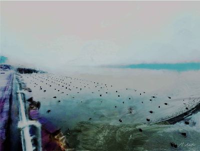 asch-reflections