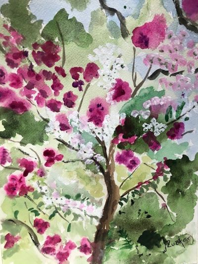 zucker_colorsofspring_5_0