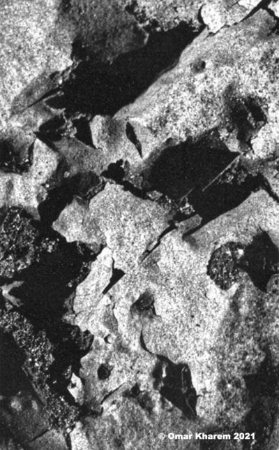 texture_
