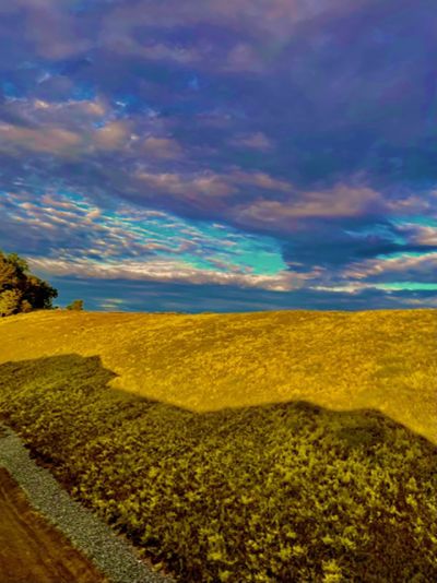 etzel_summerwaves_3