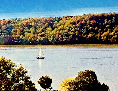 steven_levine-hudson