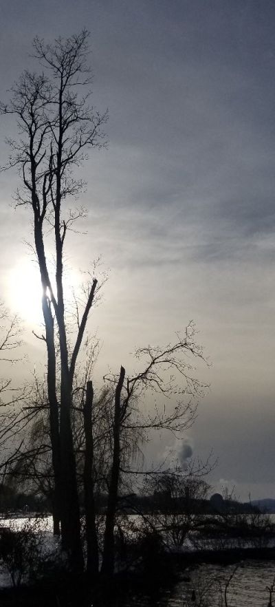 bash_hudson_4