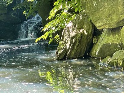 zucker-sunshine_on_the_water