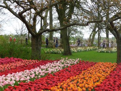 marum_colorsofspring_3