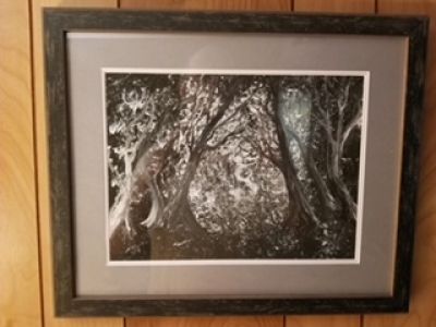 macluaghlin-trees_before_the_abyss