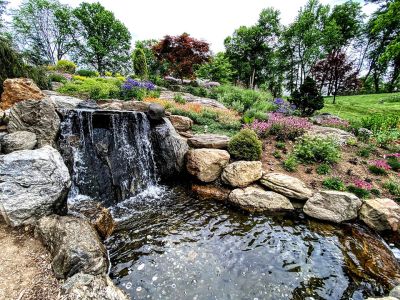 doran_yonkersthruthelens_1