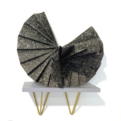 bw_large_fold-1_-_3